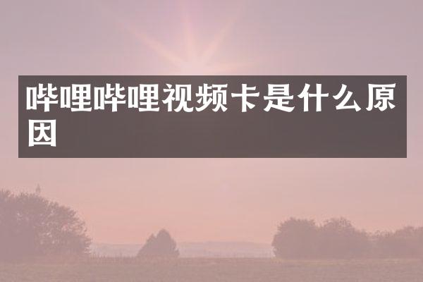 哔哩哔哩视频卡是什么原因