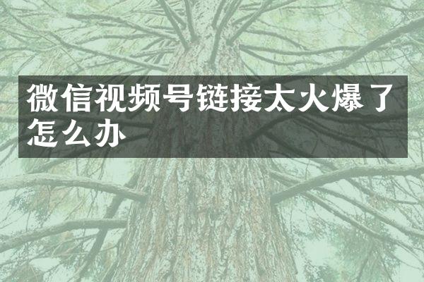 微信视频号链接太火爆了怎么办