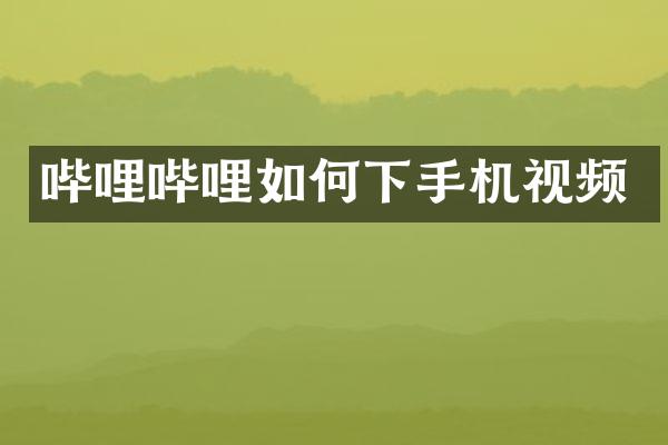 哔哩哔哩如何下手机视频