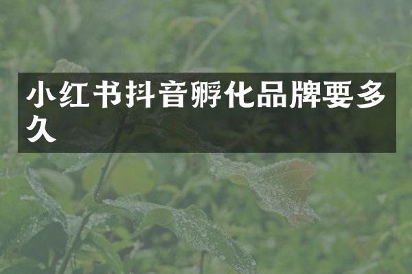 小红书抖音孵化品牌要多久