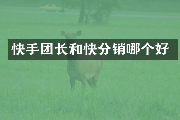 快手团长和快分销哪个好