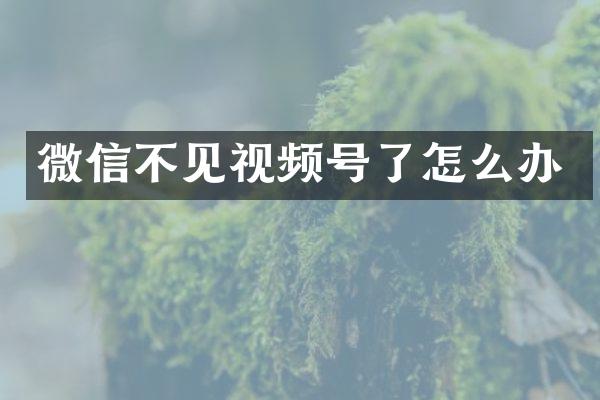 微信不见视频号了怎么办