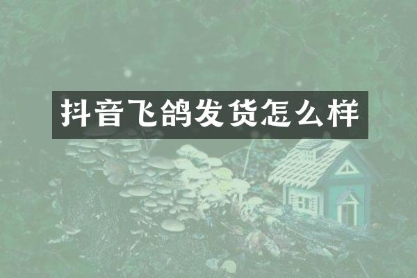 抖音飞鸽发货怎么样