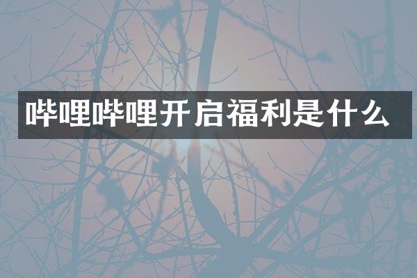 哔哩哔哩开启福利是什么