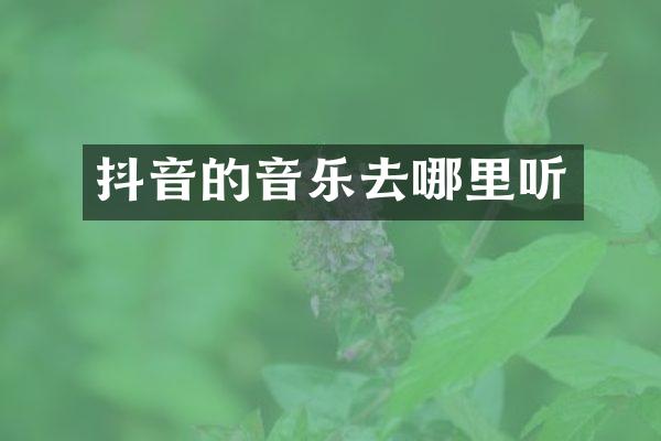 抖音的音乐去哪里听