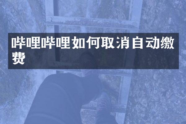 哔哩哔哩如何取消自动缴费