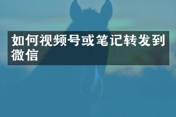 如何视频号或笔记转发到微信