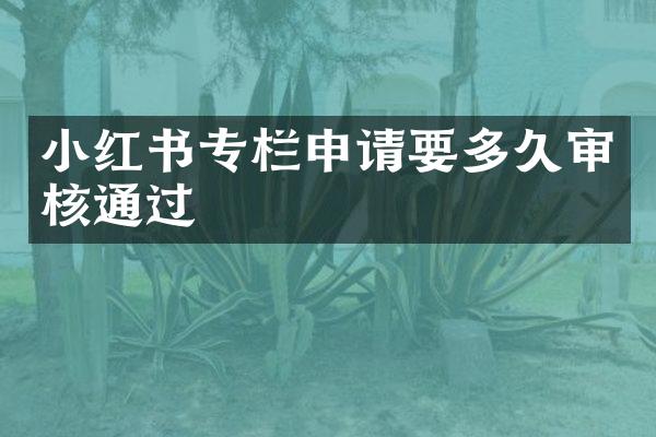 小红书专栏申请要多久审核通过