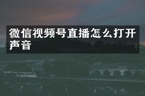 微信视频号直播怎么打开声音