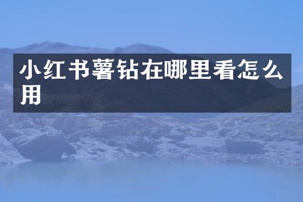 小红书薯钻在哪里看怎么用
