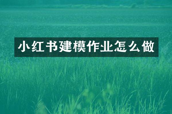 小红书建模作业怎么做