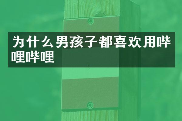 为什么男孩子都喜欢用哔哩哔哩