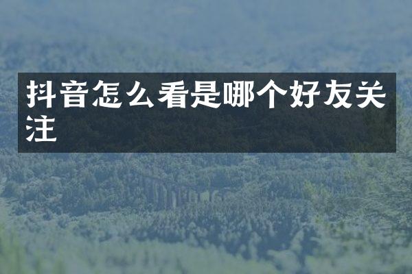 抖音怎么看是哪个好友关注
