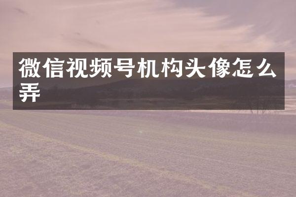 微信视频号机构头像怎么弄