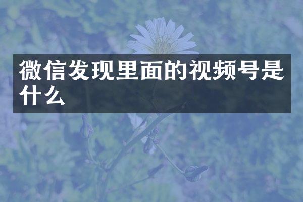 微信发现里面的视频号是什么