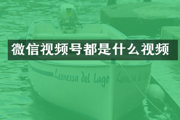 微信视频号都是什么视频