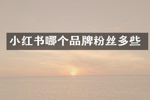 小红书哪个品牌粉丝多些