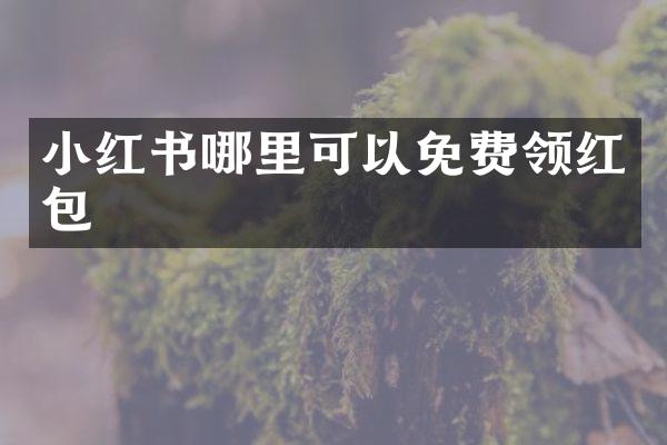 小红书哪里可以免费领红包