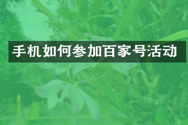 手机如何参加百家号活动