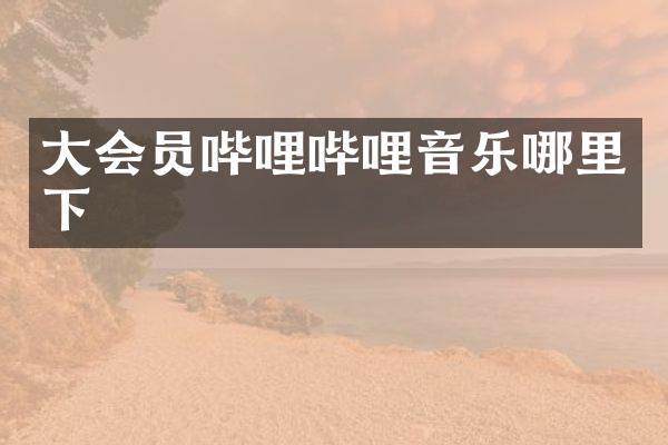 大会员哔哩哔哩音乐哪里下