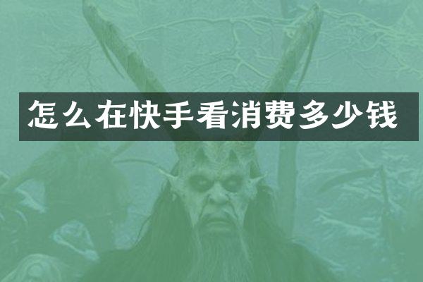 怎么在快手看消费多少钱