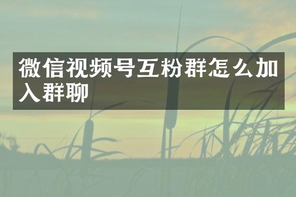 微信视频号互粉群怎么加入群聊