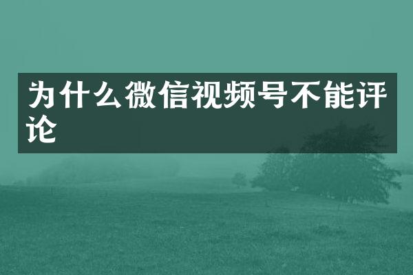为什么微信视频号不能评论