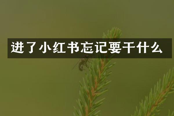 进了小红书忘记要干什么