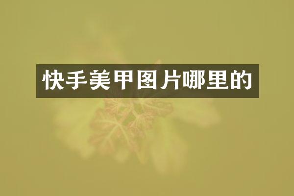 快手美甲图片哪里的