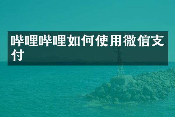 哔哩哔哩如何使用微信支付