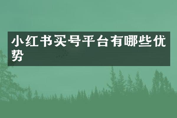 小红书买号平台有哪些优势
