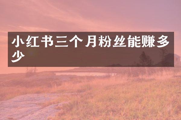 小红书三个月粉丝能赚多少