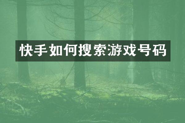 快手如何搜索游戏号码