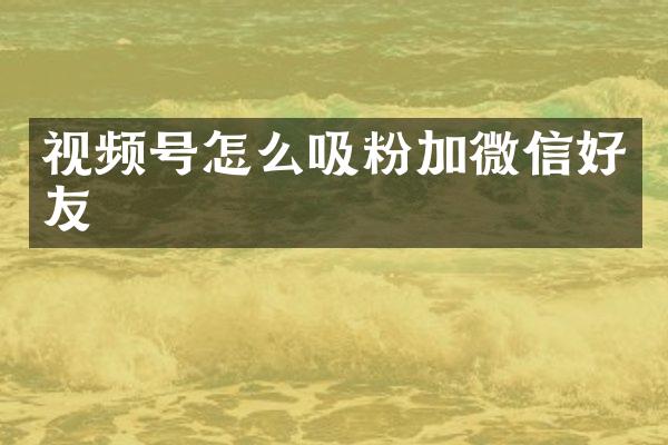 视频号怎么吸粉加微信好友