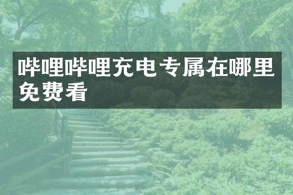 哔哩哔哩充电专属在哪里免费看