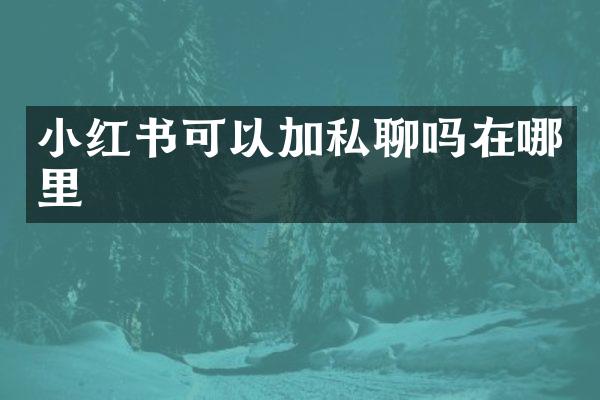 小红书可以加私聊吗在哪里