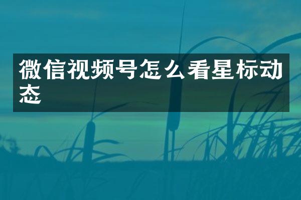 微信视频号怎么看星标动态
