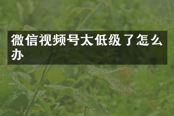 微信视频号太低级了怎么办