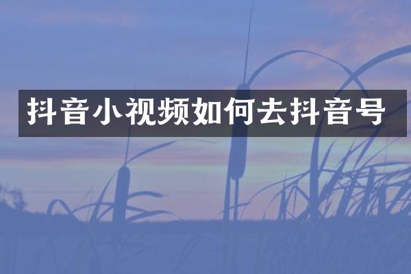 抖音小视频如何去抖音号