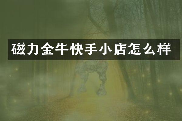 磁力金牛快手小店怎么样
