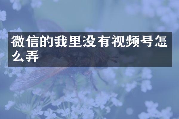 微信的我里没有视频号怎么弄