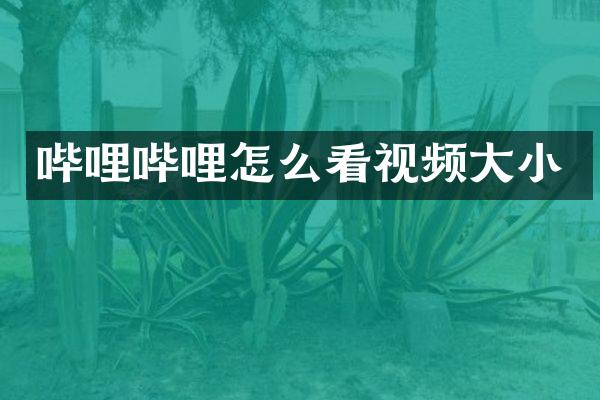 哔哩哔哩怎么看视频大小