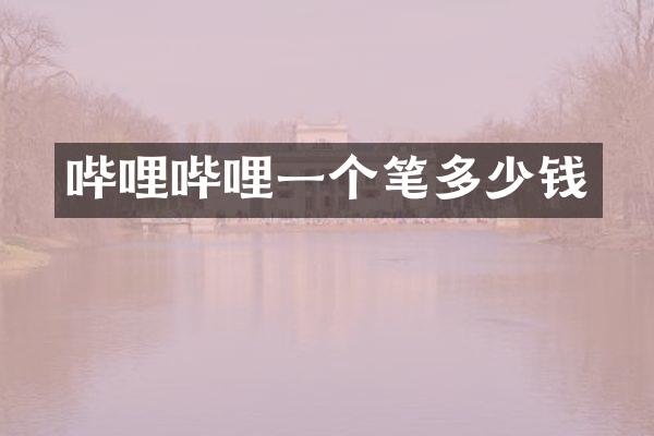哔哩哔哩一个笔多少钱
