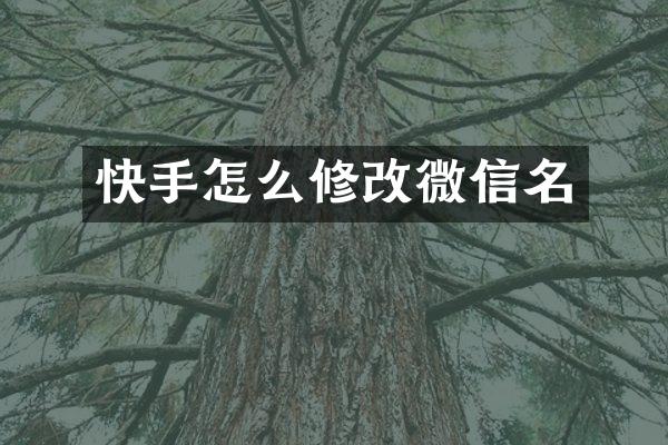 快手怎么修改微信名