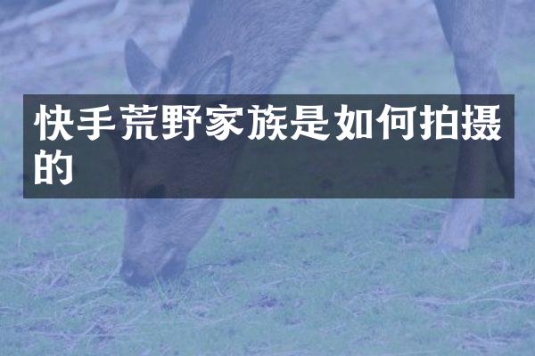 快手荒野家族是如何拍摄的
