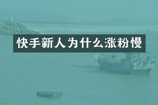 快手新人为什么涨粉慢