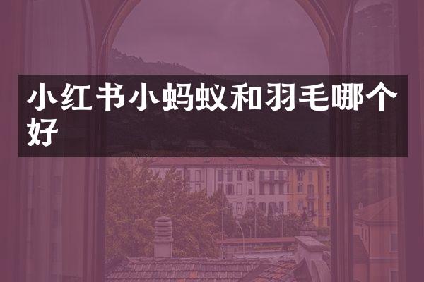 小红书小蚂蚁和羽毛哪个好