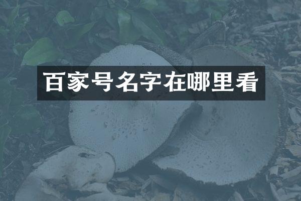 百家号名字在哪里看