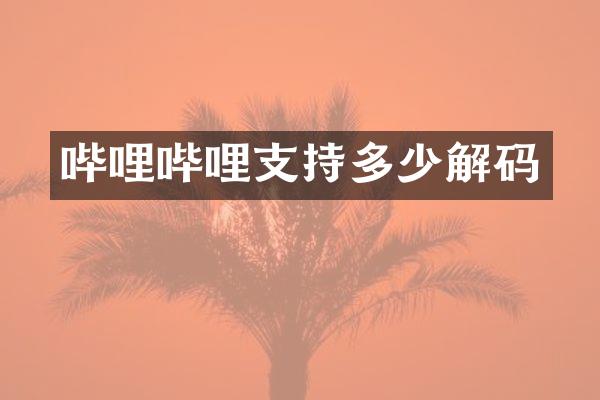 哔哩哔哩支持多少解码