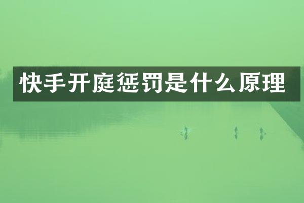 快手开庭惩罚是什么原理